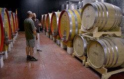 Cellar in Valpolicella