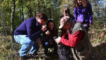 Truffle Hunting in Tuscany - private Wine Tour