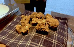 Truffle fair at San Miniato