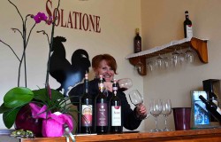 Chianti Classico win tasting