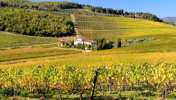 Chianti Half-Day Tour - 2 Boutique Wineries - shared Wine Tour