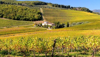 Florence: Chianti Wine Tour Half-Day - shared Wine Tour