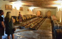 Wine cellar in Chianti