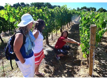 Tuscany Wine Holiday Tour - shared_package  Wine Tour