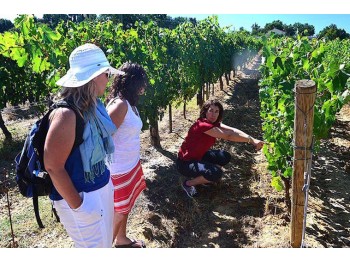 Tuscany Wine Holiday Tour - shared_package  Wine Tour