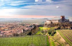 Best Soave winery tor from Venice