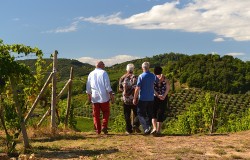White Wine Tuscany Tour