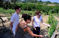 Exploring a vineyard in San Gimignano