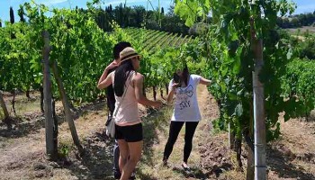 San Gimignano Wine Tasting Experience - private Wine Tour