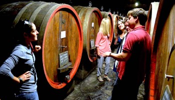 Castle and Chianti wine tour - shared Wine Tour