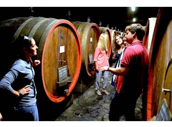 Castle and Chianti wine tour - shared  Wine Tour