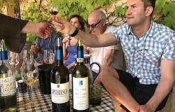 Wine tasting of Nobile di Montepulciano DOCG